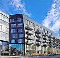 One Bedroom Condo Apartment In Downtown Toronto (corktown)