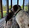 Wanted Westhawk Waterfront Cottage Or Lot