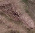 Ancient Tomb With Contents South America