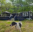 Cottage For Sale