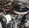 81 Trans Am Turbo 