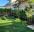 *** New 2-bdr Bsmt In Renfrew Heights ***