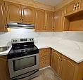 Rear-main Floor Apartment For Rent In The Heart Of Mimico!