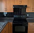 2 Br 1 Bath Freshly Painted, New Laminate 830 Sq Ft 2Nd Floor