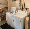1 Bedroom Basement Suite