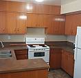 2 Bedroom Basement Suite