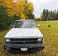1981 C10
