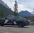 Chevrolet Camaro Ss