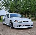 2003 Ford Mustang Gt 4.6 Litre V8Super Low Km! 