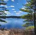 Looking For Lakefront Lot