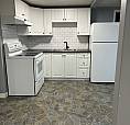 1 Bedroom Basement Suite