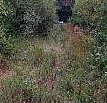 Land For Sale Pictou County Nova Scotia