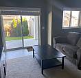 Bright, Clean, Walk-out B/m Suite W/ Natural Light