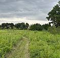 Price Reduced     5-acre Lot.
