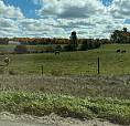 Considering Selling Your Vacant Land? ...