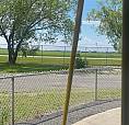 Looking For Land/ Pasture 