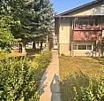 Brand New 2 Bedroom Bsmt In Templeview Way Ne