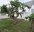 House In Fairview, Alberta With Large Corner Lot