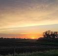 Farm Land For Sale