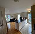 Large 1 Bedroom Apartment Renting For November 1St