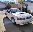 2001 Mustang Gt V8