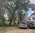 Legal 3-Br Basement Suite Near University Of Alberta/3Parking