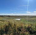 50 Acre Future