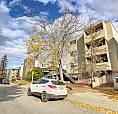 Spacious 2-Bedroom Condo In Bankview – Steps From The Beltline