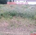 Serviced Residential Lot For Sale – Goodsoil, Saskatchewan