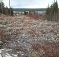 Lake View Property , 1.18 Acre Lot, Long Lake Not Ocean View