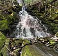 55 Acres Of Paradise For Sale