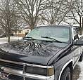 97 Chev Pickup 1500