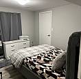 1 Bedroom Basement