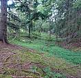 2.25 Acres, Cleared, Surveyed, Cable Internet, 25 Min To Costco
