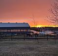     Iso Long-Term Farm/Acreage Rental