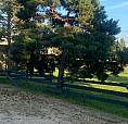 Fence Boards & Posts