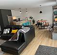 Appartement Style Condo Neuf, Luxueux À Louer! Droit Aux Animaux