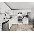 Spacious & Bright 1-Bedroom Suite