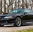 Looking For A Mustang