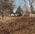 Land For Sale Or Trade For Something Of Intrest 