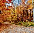 Beautiful Riverfront Lot 30 Minutes From Parliament