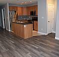 Amazing 2 Bdrm 1.5 Bath Lower Level Duplex Avail Nov 1