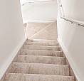 Cozy, Spacious And Sunlit 2-Bedroom Full-Walkout Basement