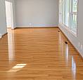 4 Bedroom  House In Richmond Near The Uofm