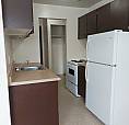 1 Bedroom Apartment Available Immediately Or Until October 1St
