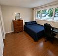 2 Bed - 1 Bath \ 15 Min Walk To Western University