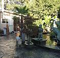 Cottage Rental Victoria Bc