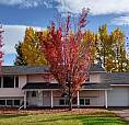 Fraser Lake 5 Bedroom Home | 2,000 Sq Ft + Double Garage/shop