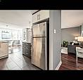 Condo To Rent 