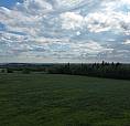 15 Acres Fully Fenced Land Between Breton And Drayton Valley.